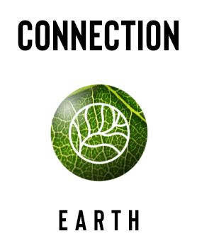 Connection Earth Logo