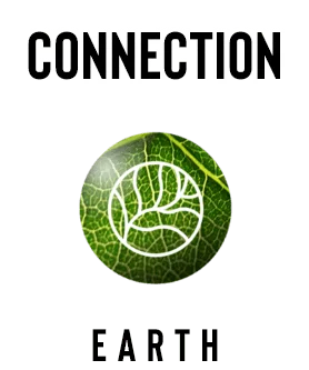 Connection Earth Logo